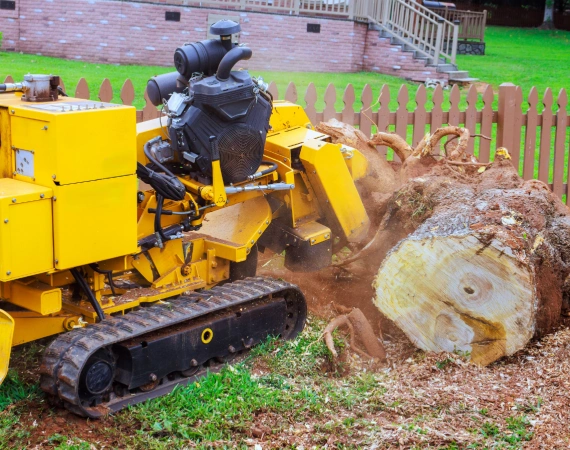 Tree Services & Stump Grinding 1